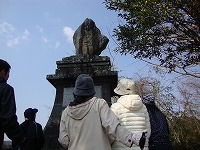 DSC00306.jpg