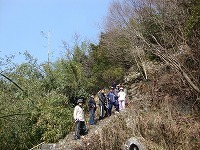 DSC00323.jpg