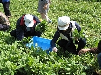 1000_20100215_161109.jpg